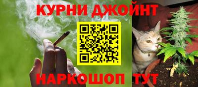 сатива Тверь
