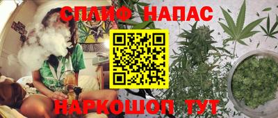 гидра Тулун