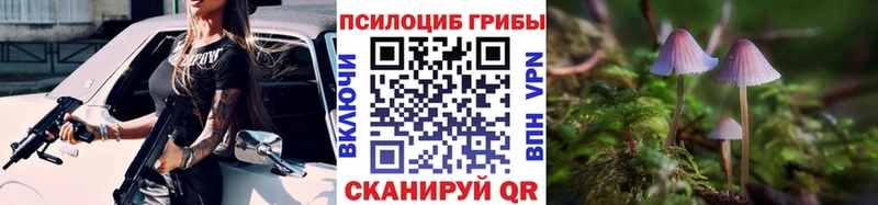 OMG сайт  Североморск  Псилоцибиновые грибы Magic Shrooms  даркнет сайт 