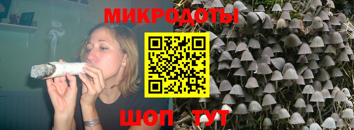 Галлюциногенные грибы Psilocybine cubensis  Вход с VPN  Североморск 